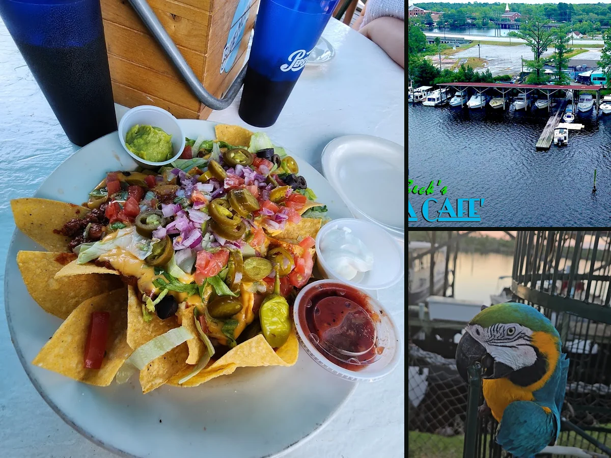 Seafood plates served in a relaxed waterfront setting.